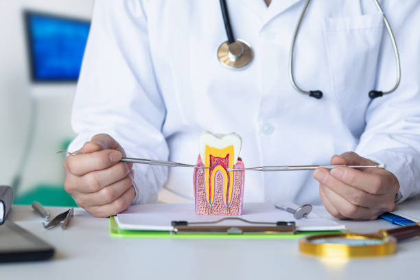 Best Emergency Dental Care for Broken or Chipped Teeth in Cumberland, KY